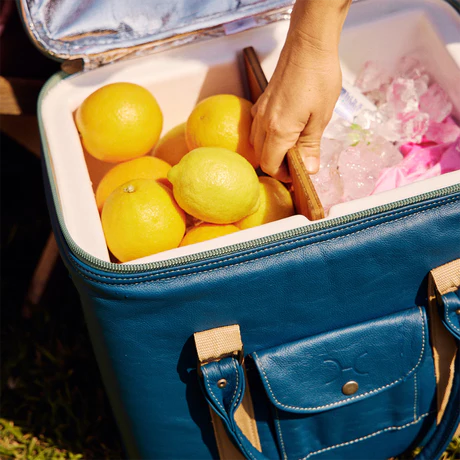 25L Box Cooler Leather