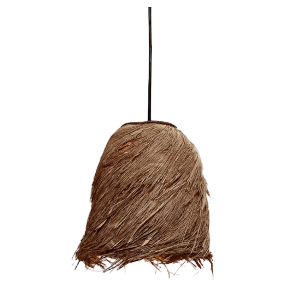 Bird's nest Pendant