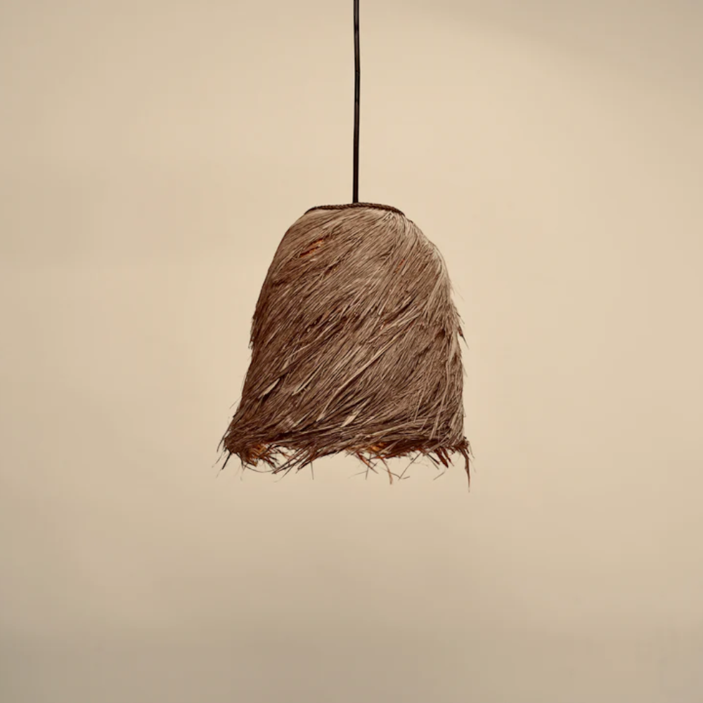 Bird's nest Pendant