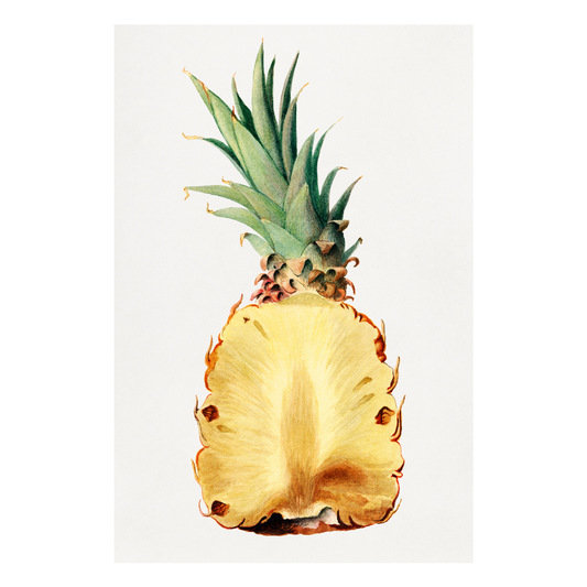 Framed Canvas Print ~ Fresh Pineapple