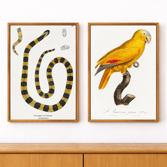 Framed Canvas Print ~ Venom