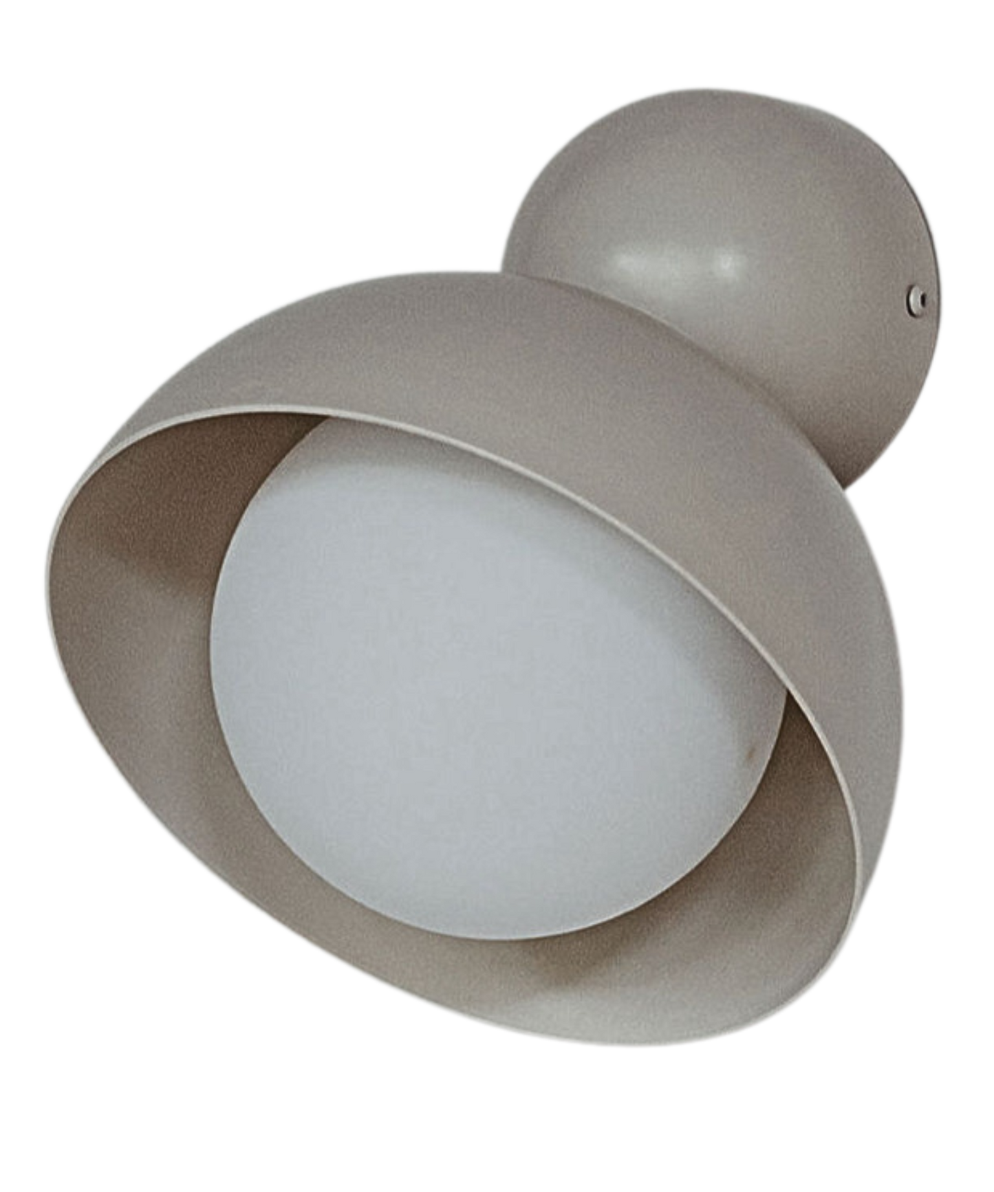 Bloom Wall Light