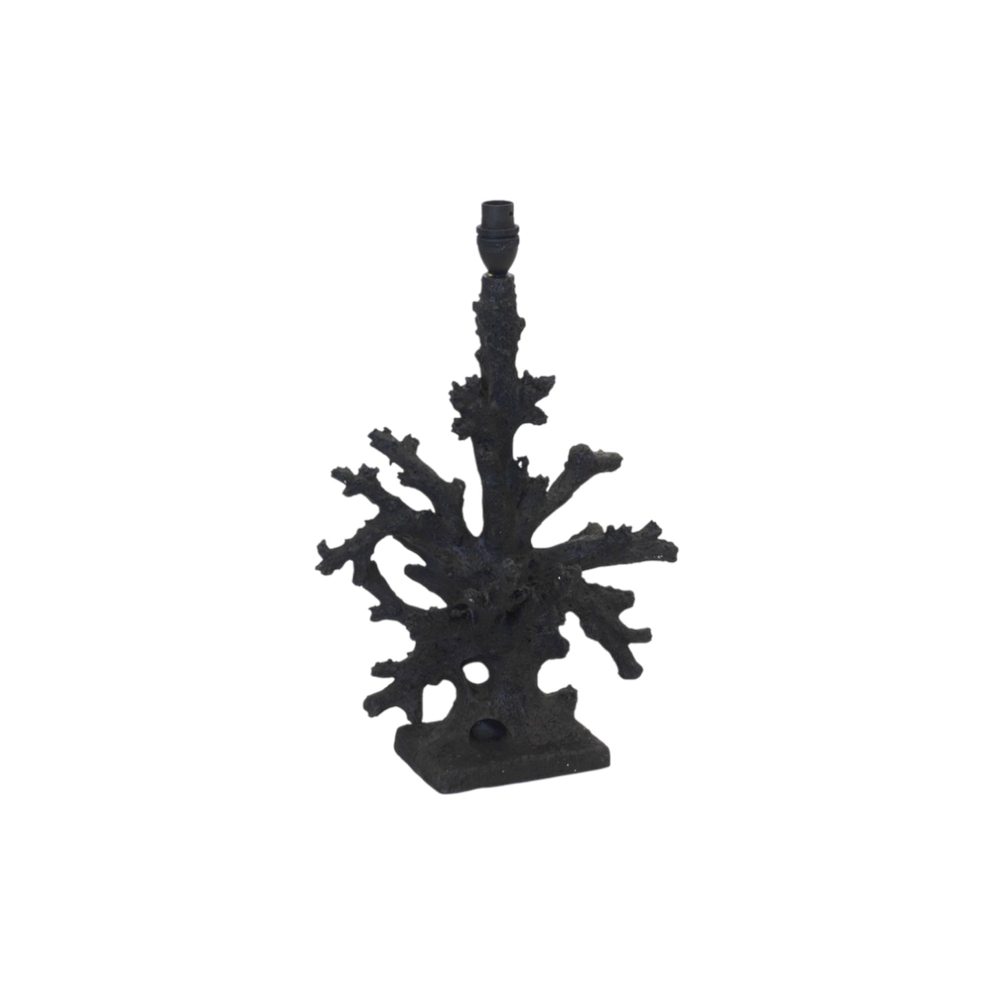 Coral Lamps