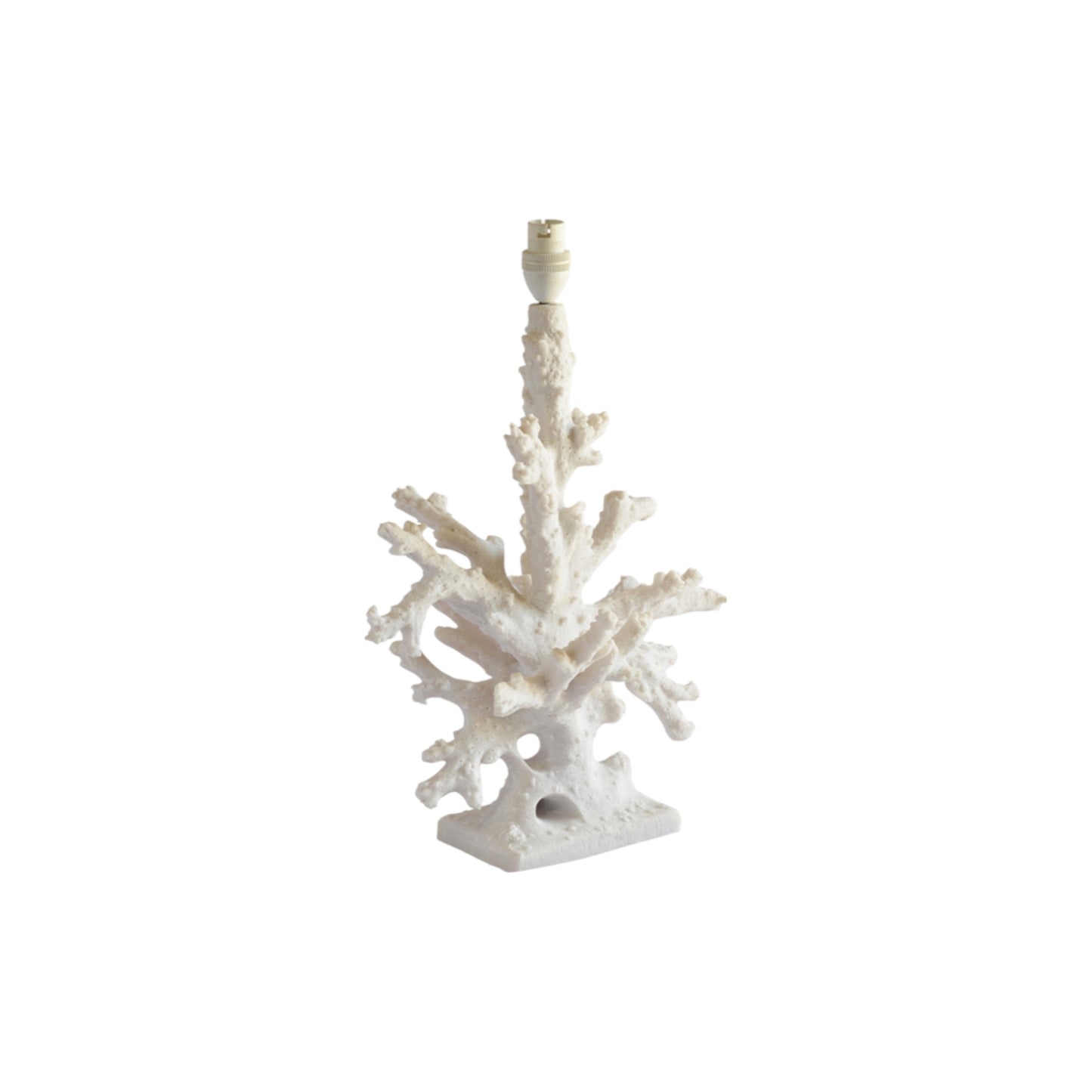 Coral Lamps