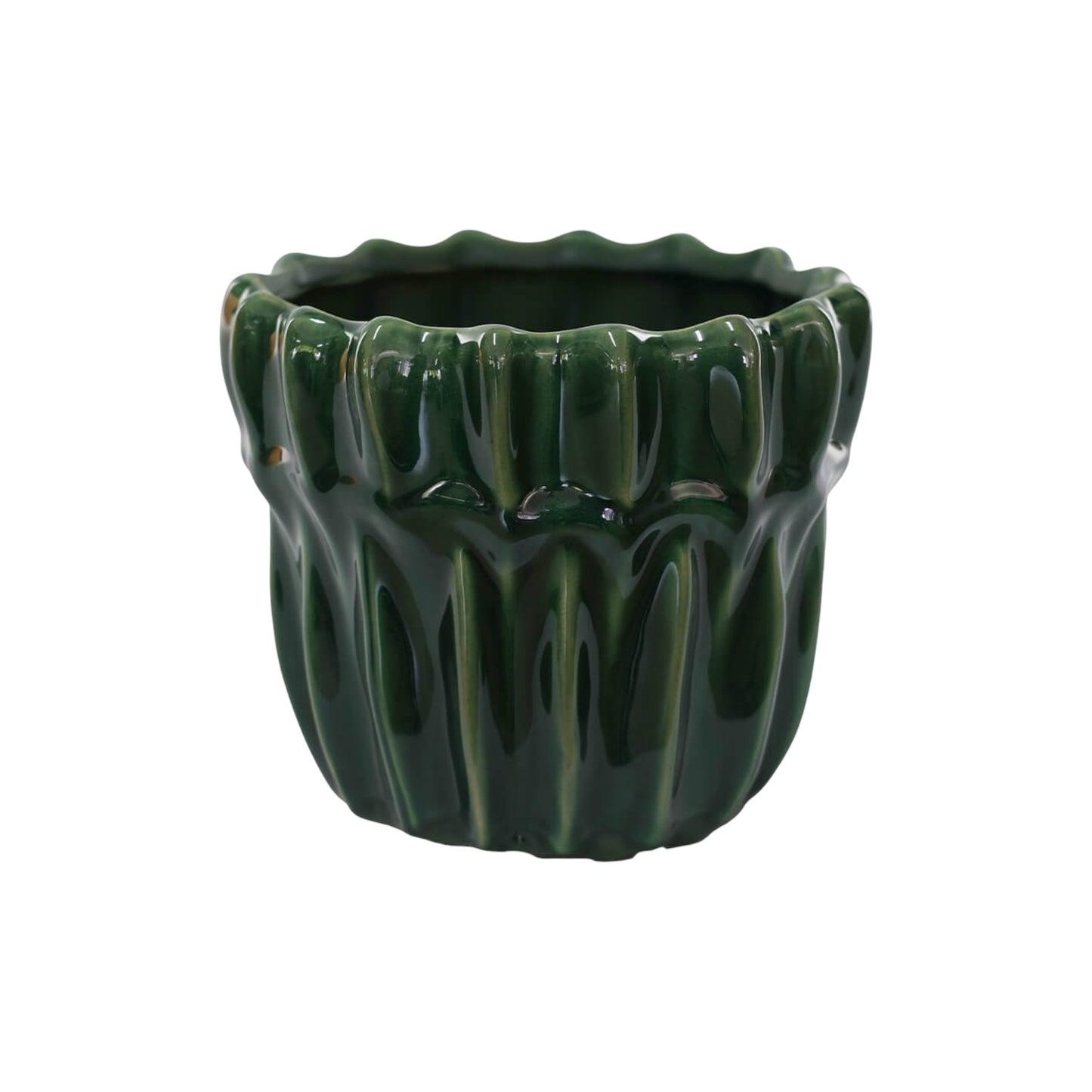 Algae Green Planter