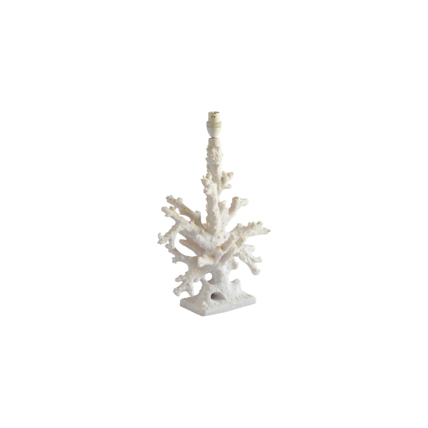 Coral Lamps