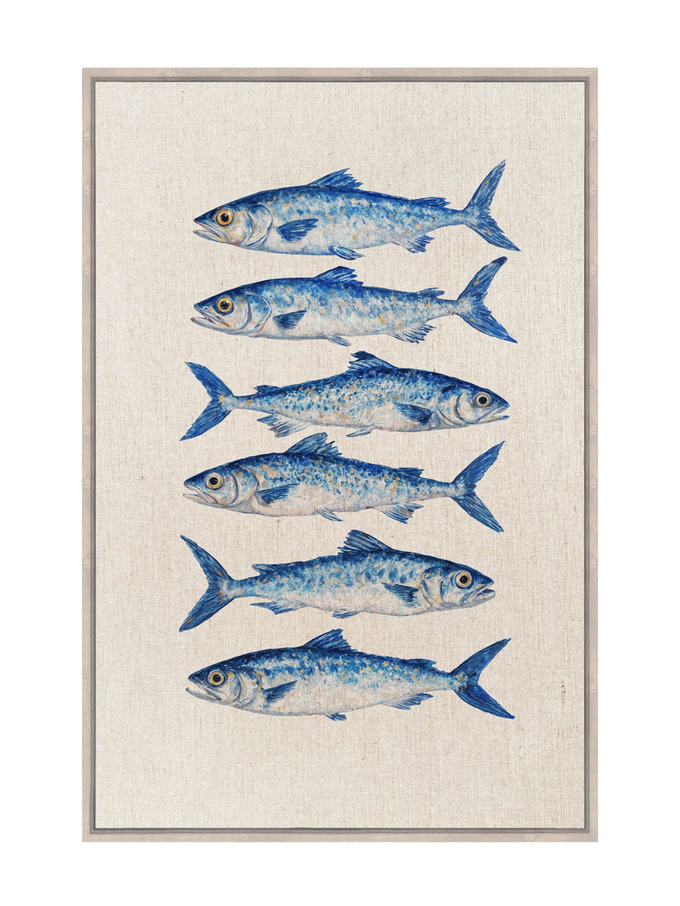 Catch of the Day Wall Art in Marine