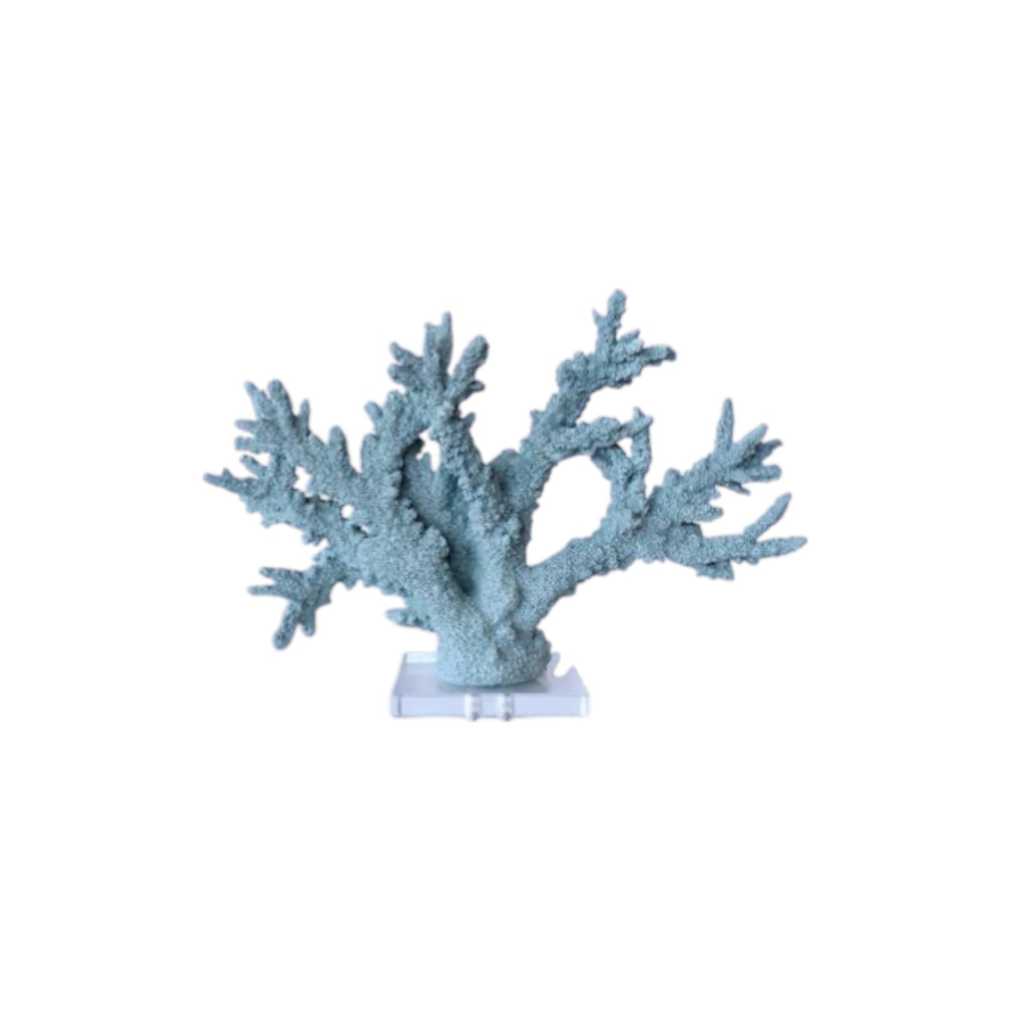 Blue Coral Decor
