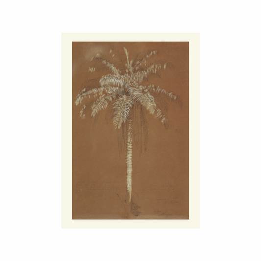 Palm tree illustration on a brown background