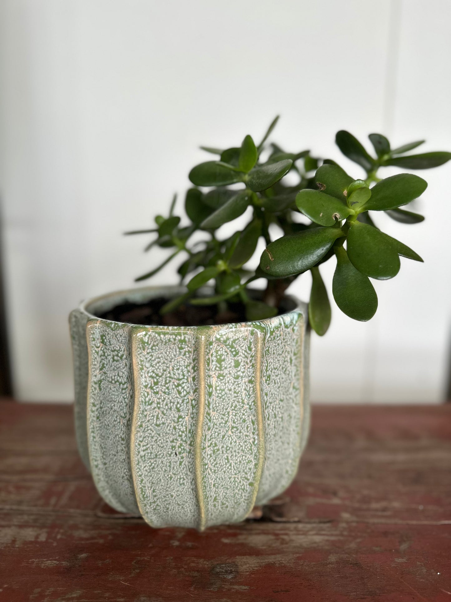 Aqua Vine Small Pot