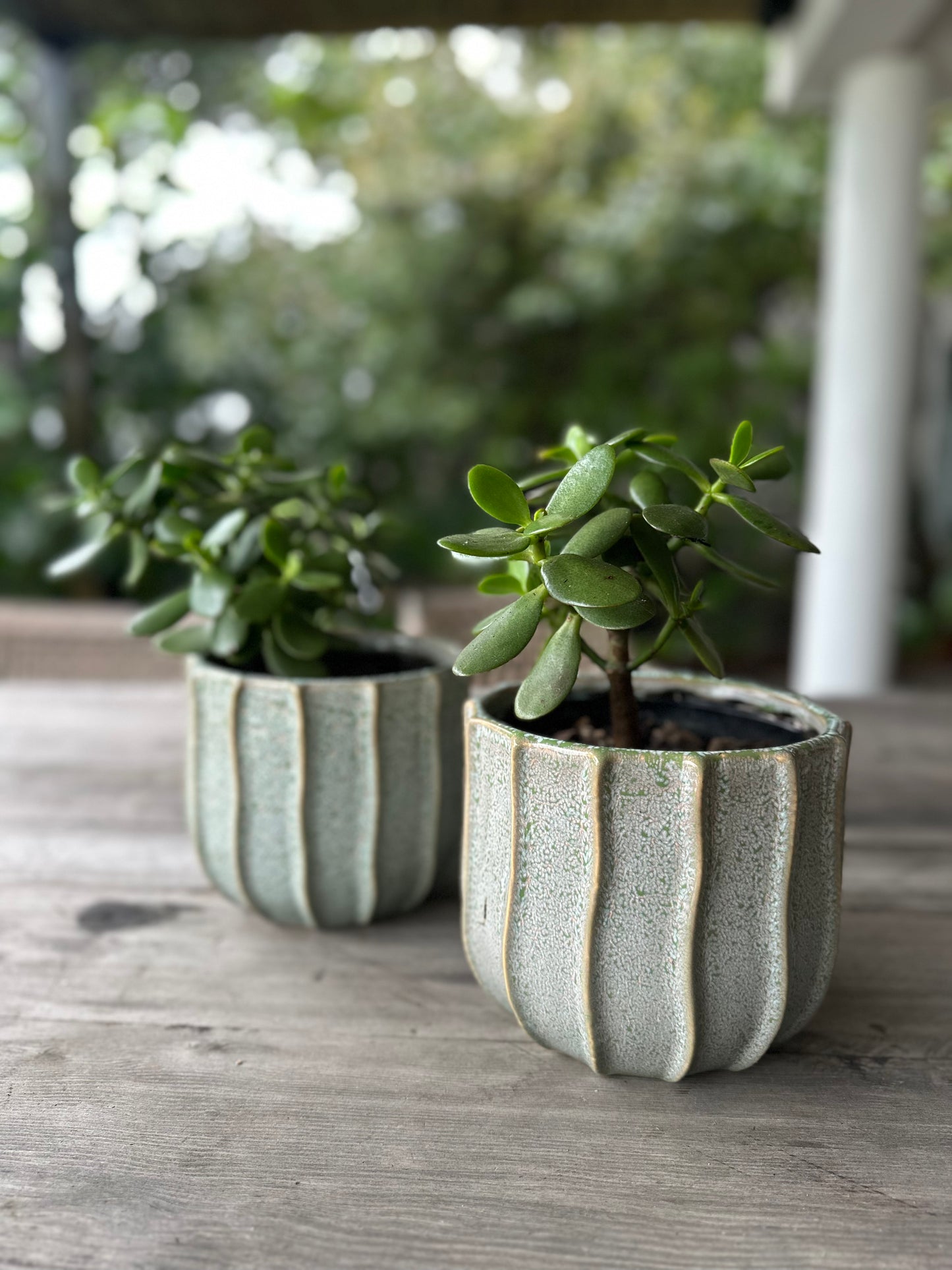 Aqua Vine Small Pot
