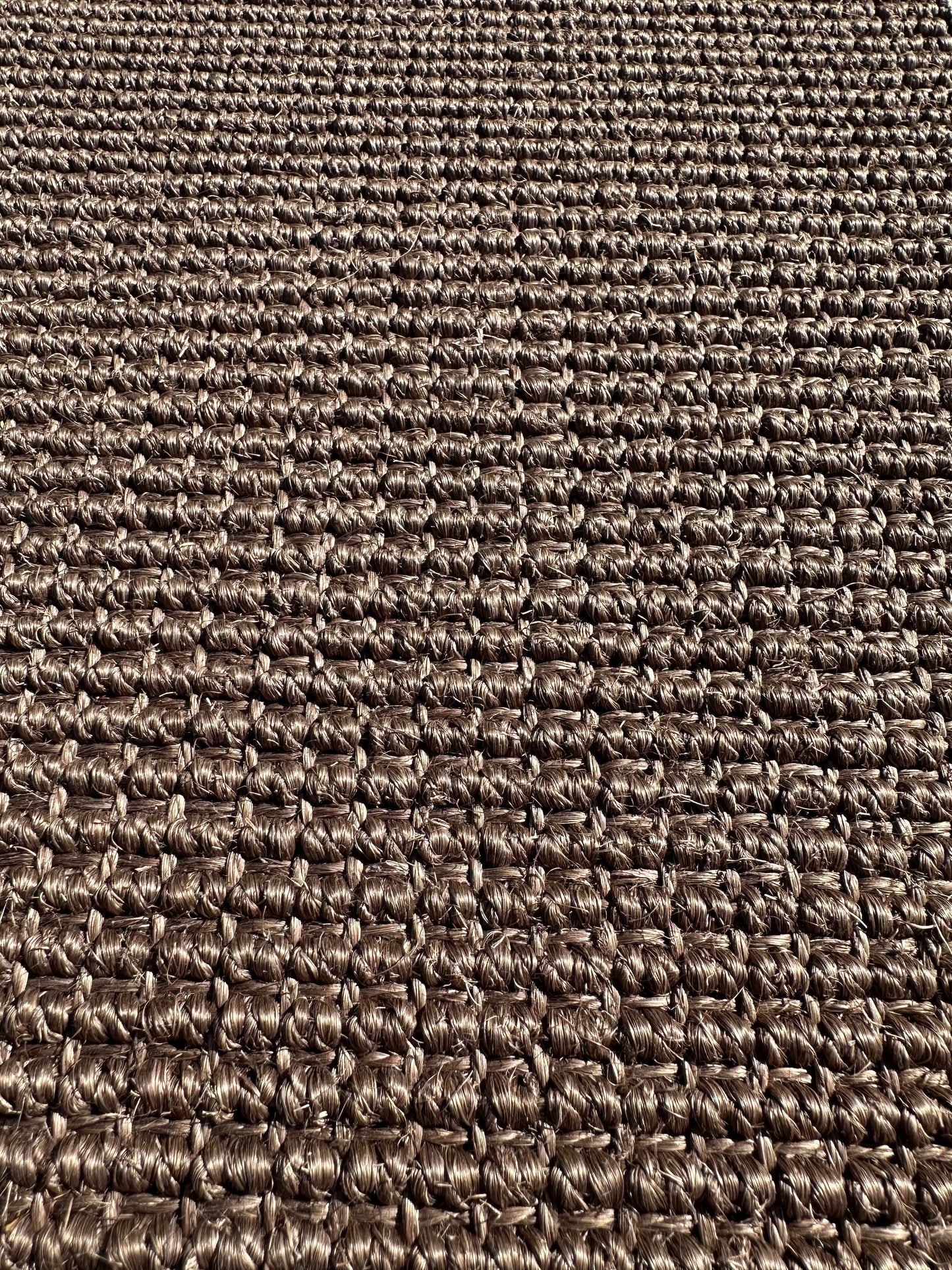 Esque Cocoa Sisal Rug