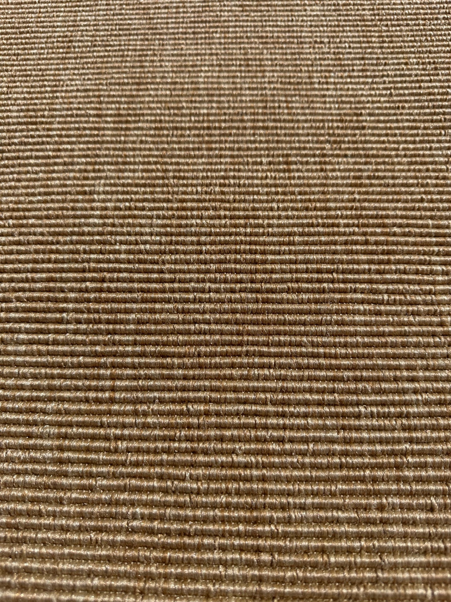 Esque Blonde Outdoor Rug