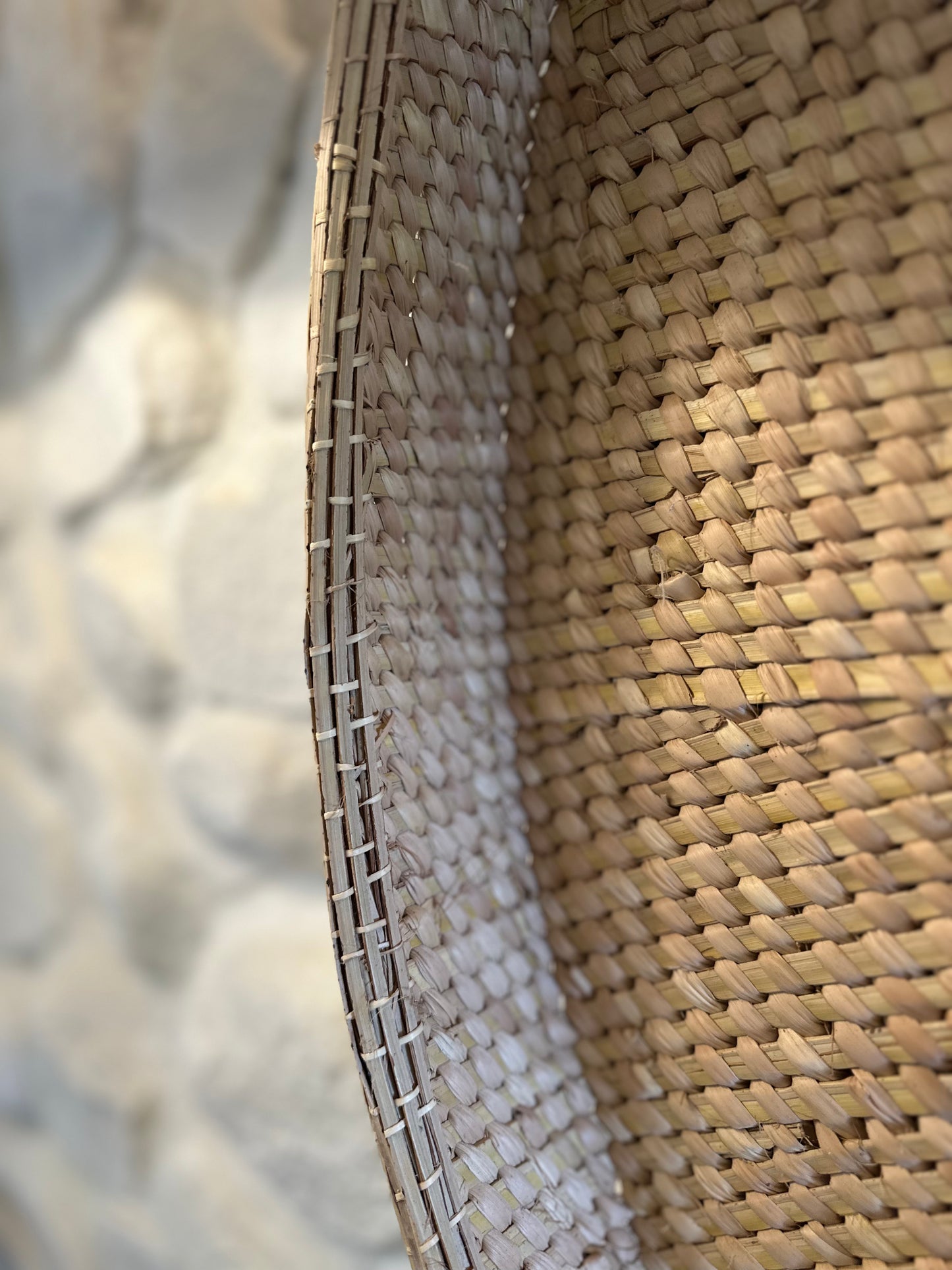 ilala Palm Wall Tray