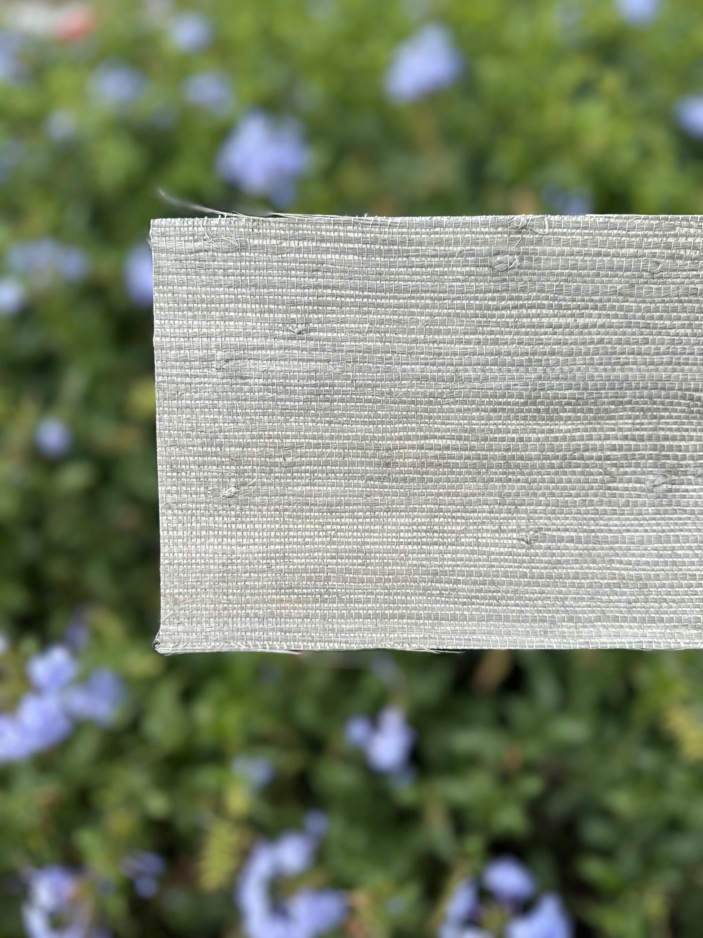 Grasscloth Wallpaper ~ Sage