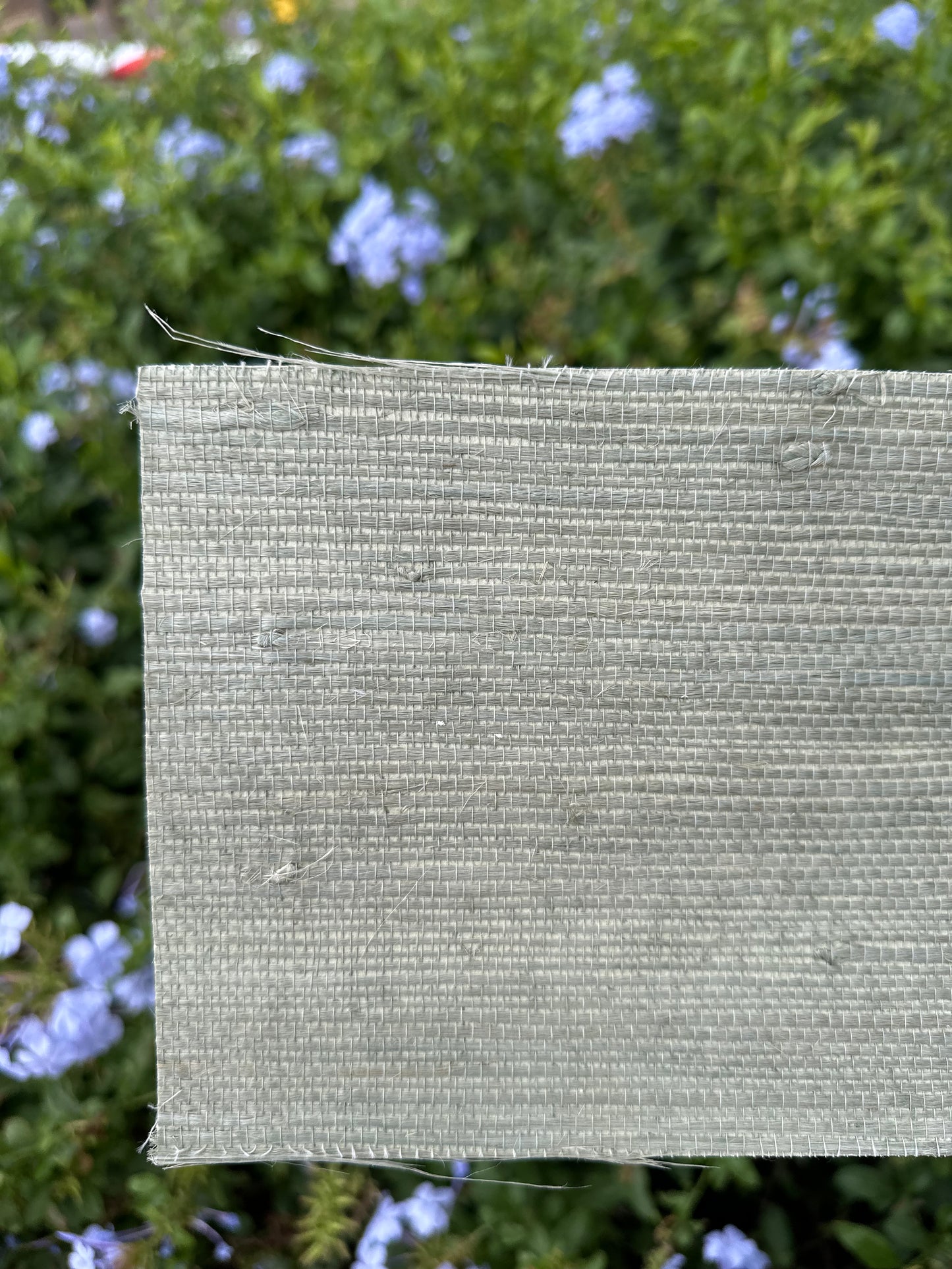 Grasscloth Wallpaper ~ Sage