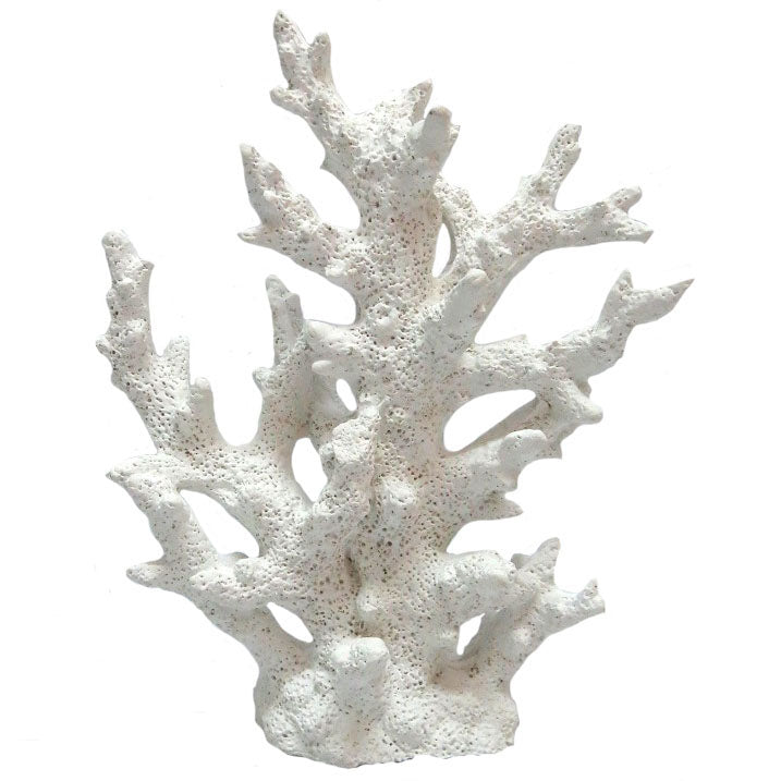 Coral Decor