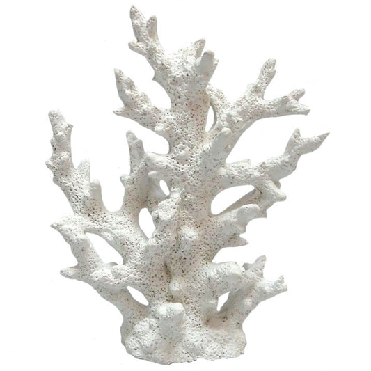 Coral Decor