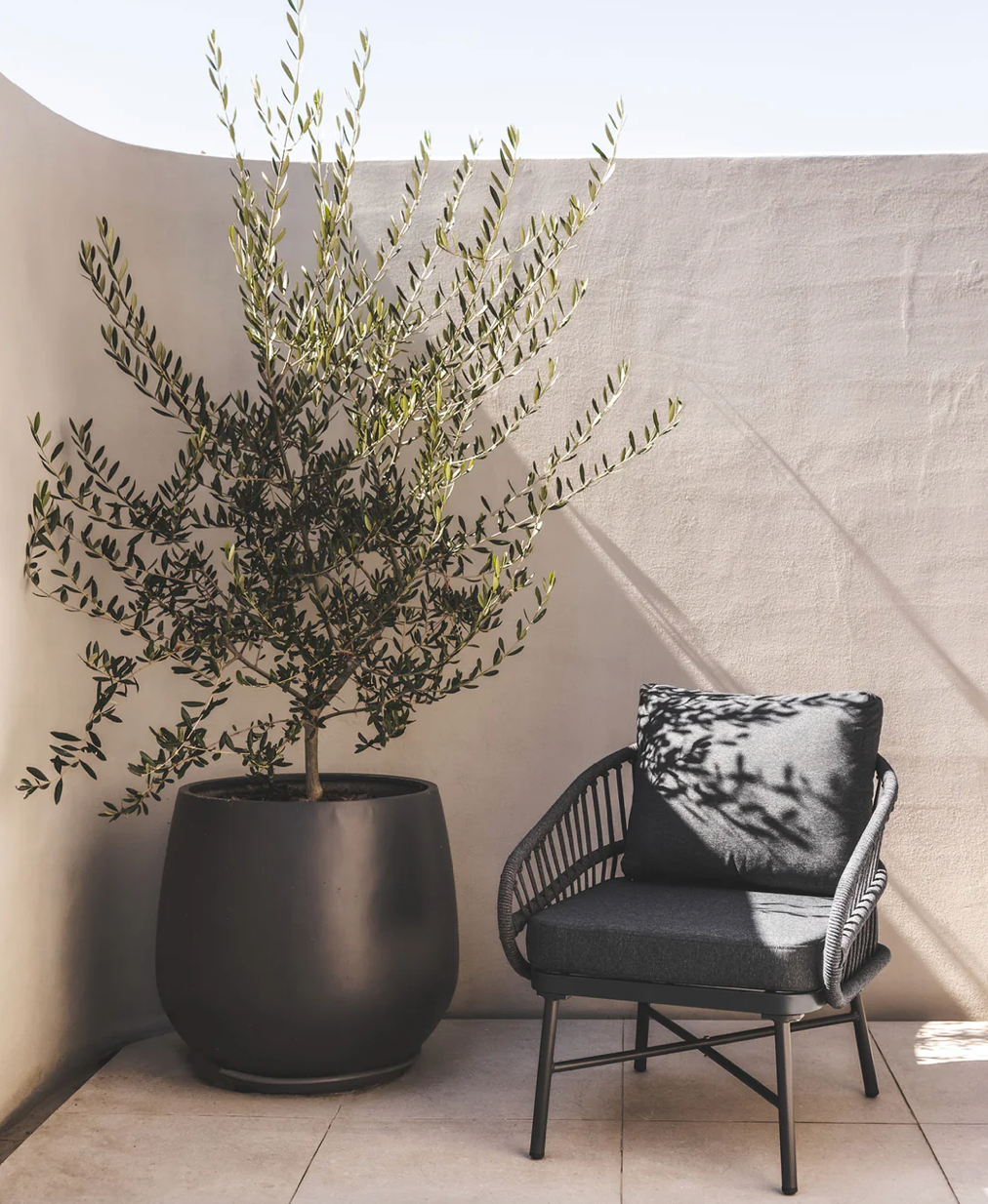 Lolita Chair