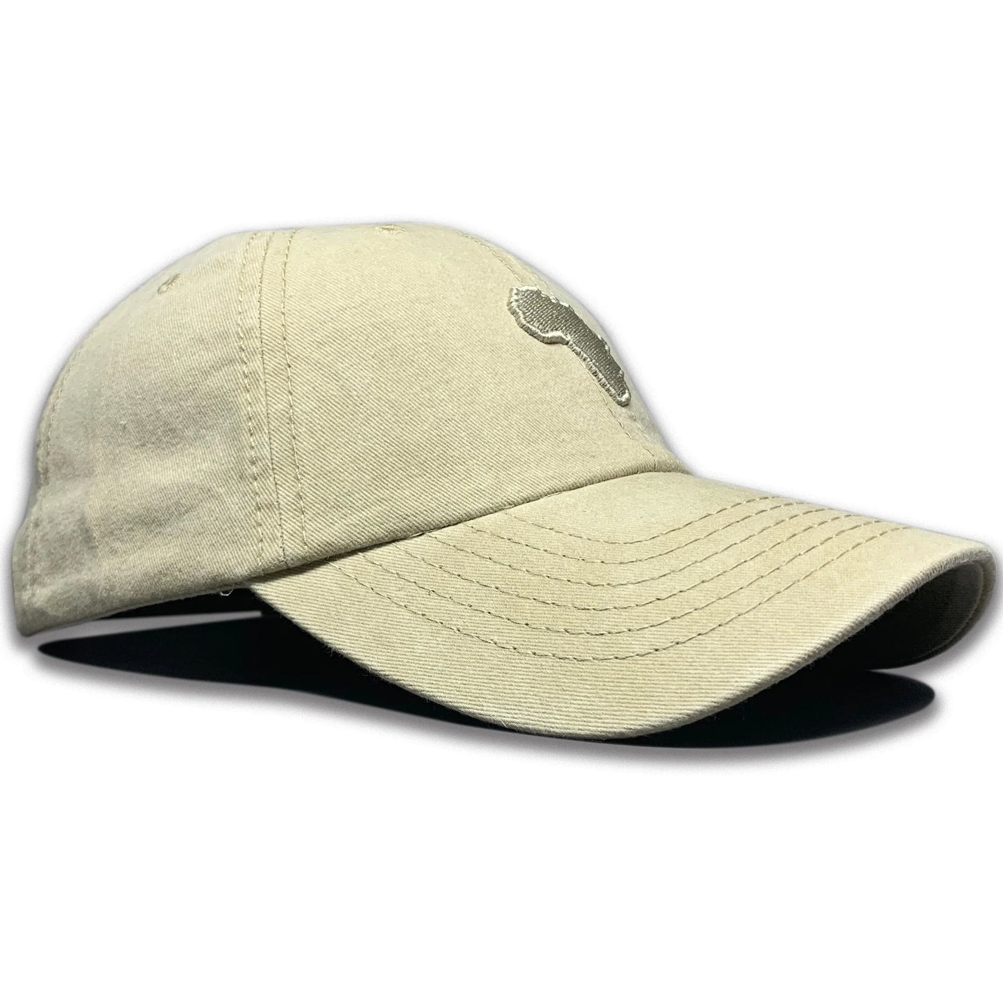 TIA Washed Cap