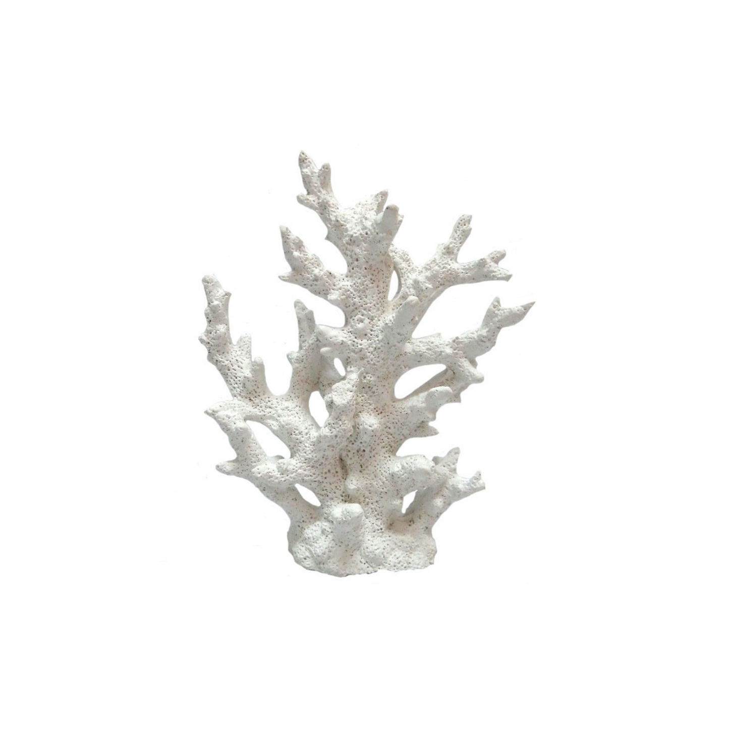 Coral Decor