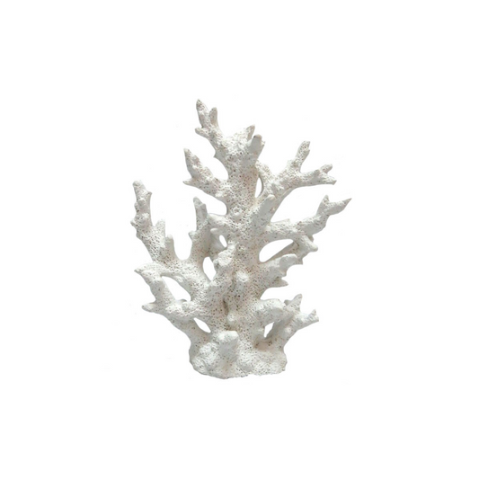 Coral Decor