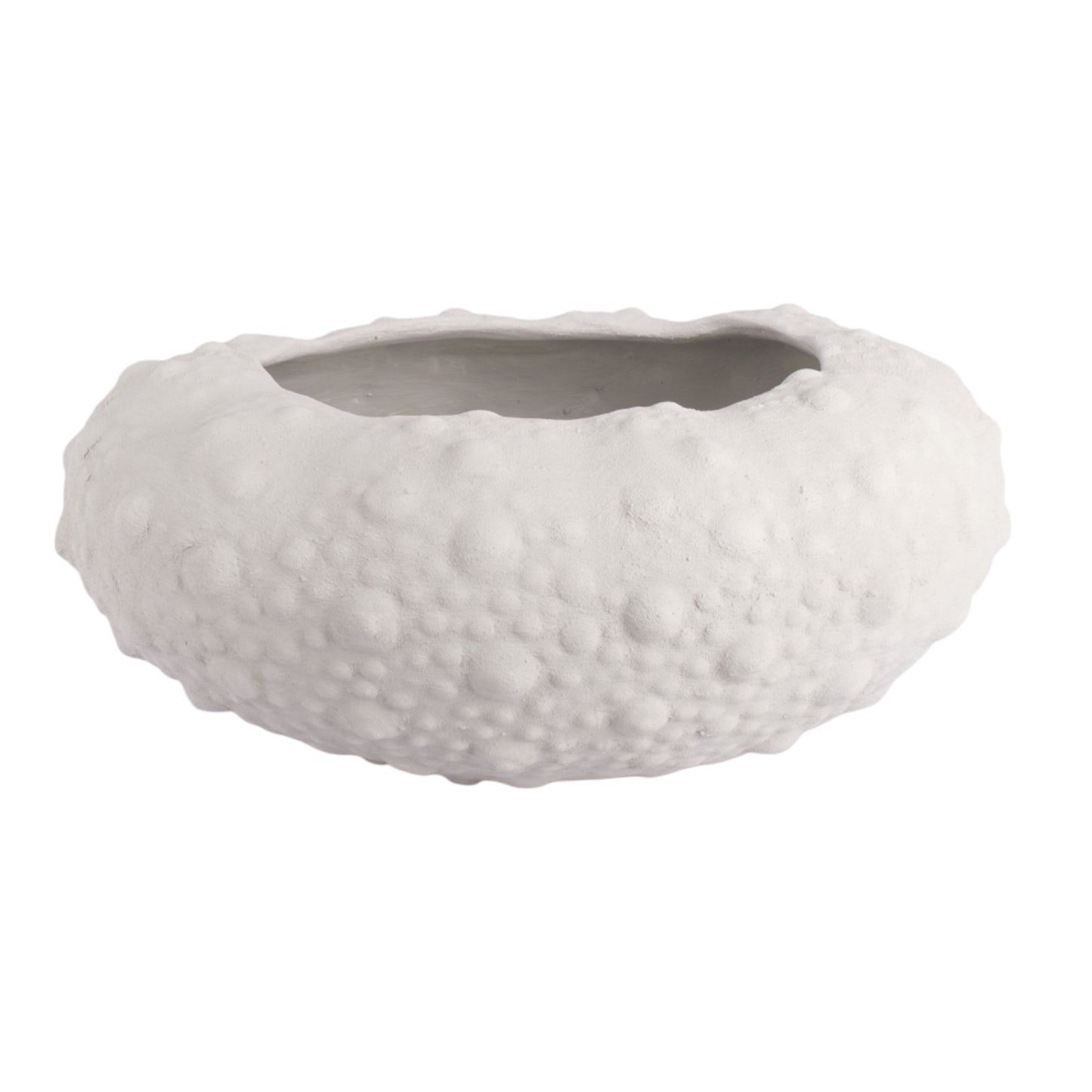 Large Barnacle Bowls