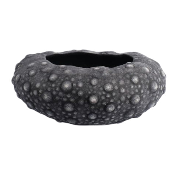 Large Barnacle Bowls