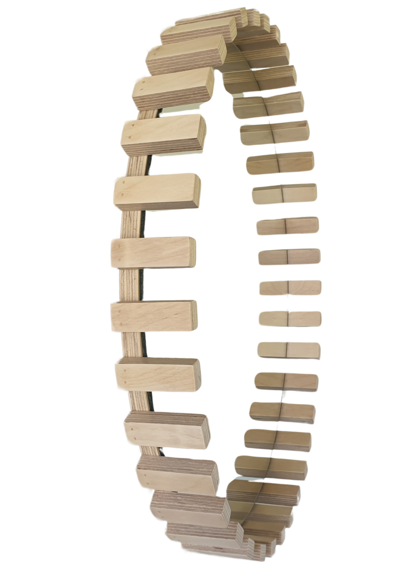 Cog Birch Mirror