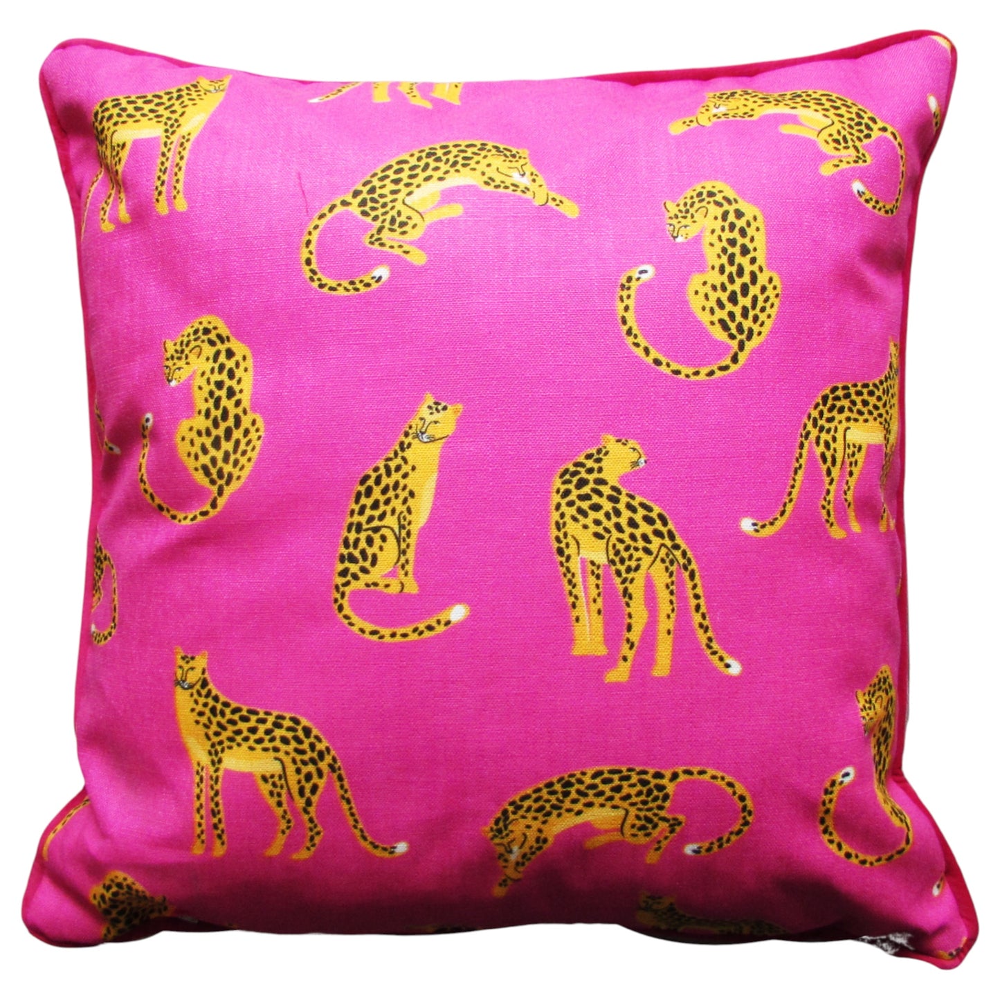 Cheetah Scatter