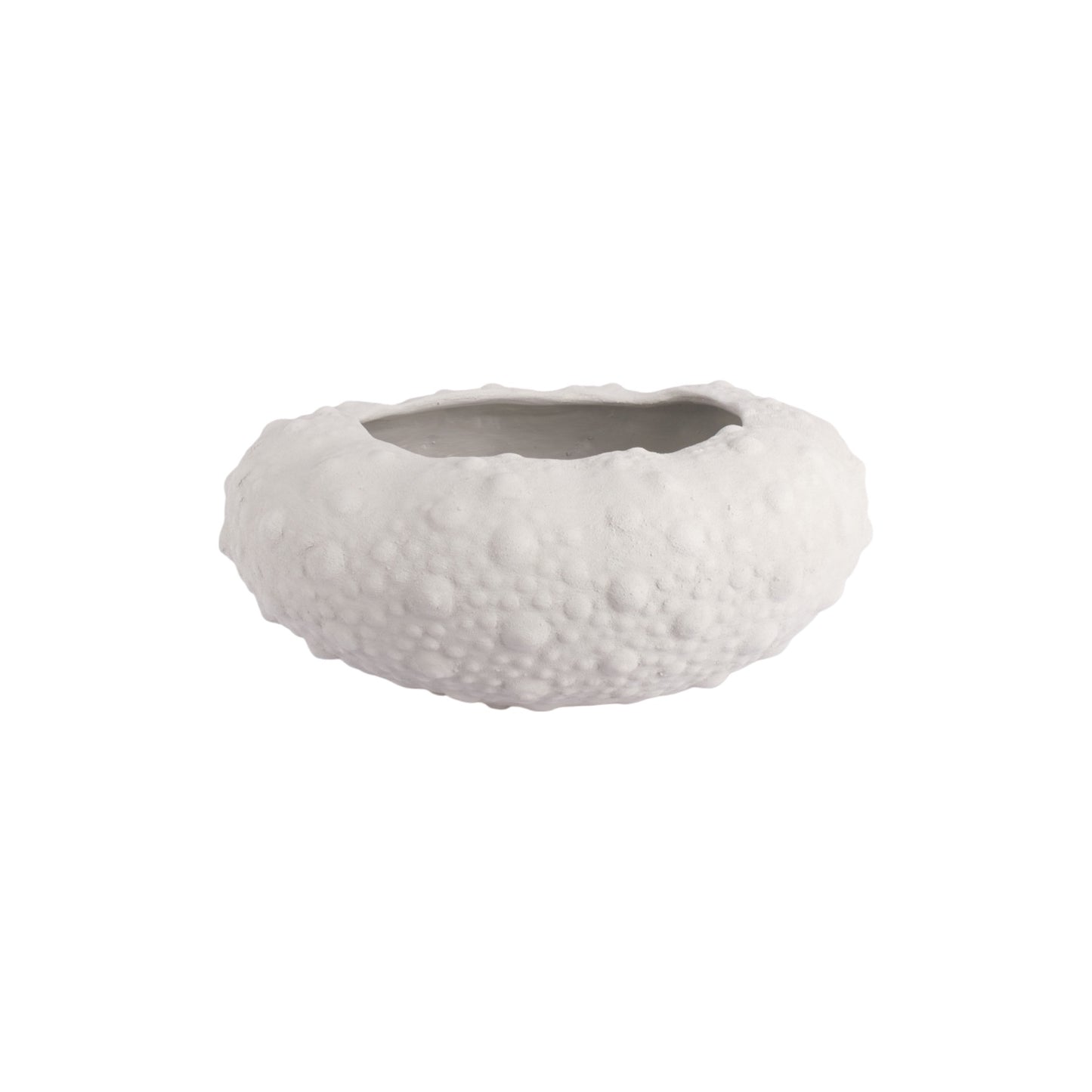 Large Barnacle Bowls
