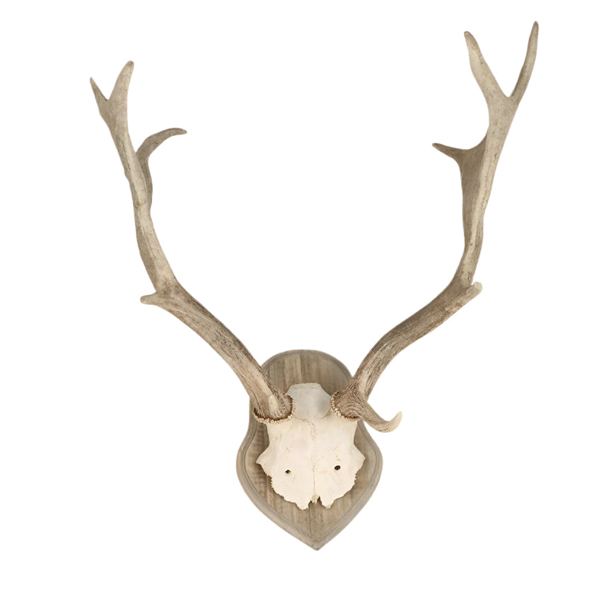 Faux Horns