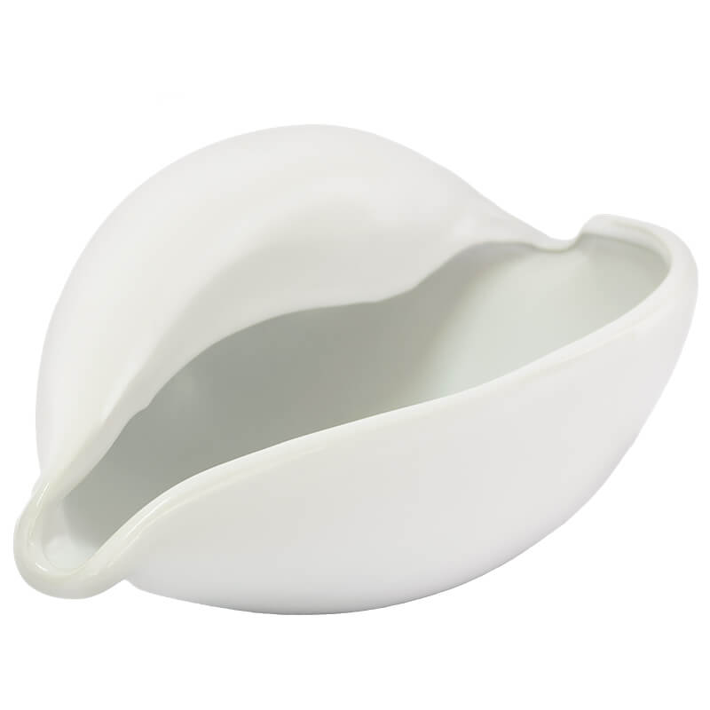 Cowrie Decor