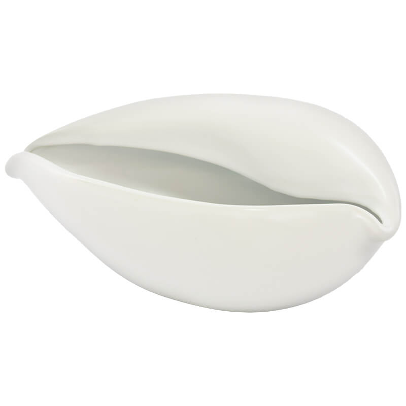 Cowrie Decor