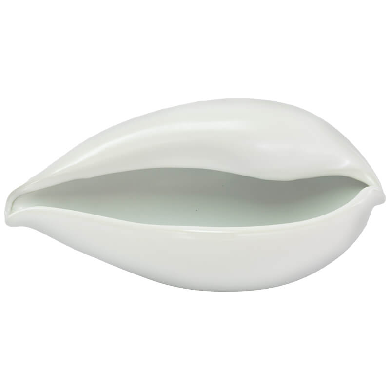 Cowrie Decor