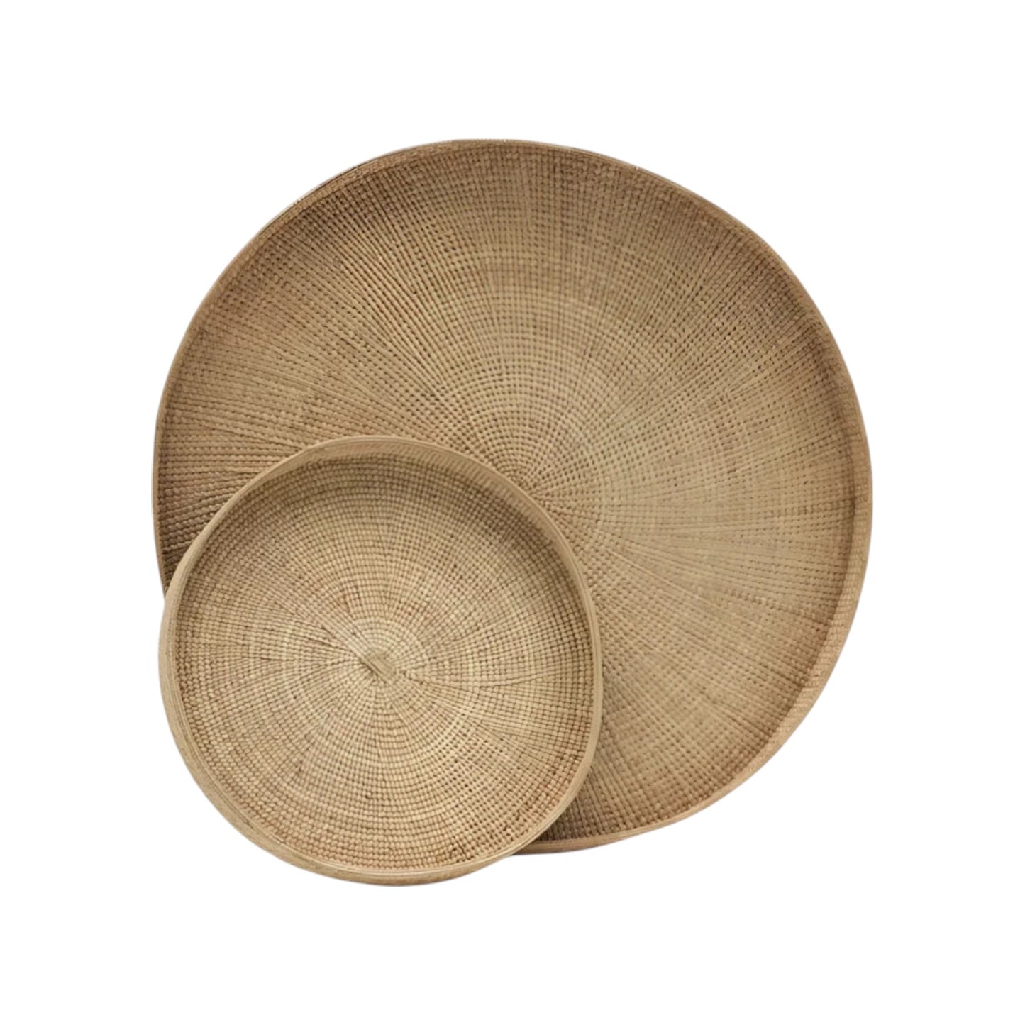 ilala Palm Wall Tray