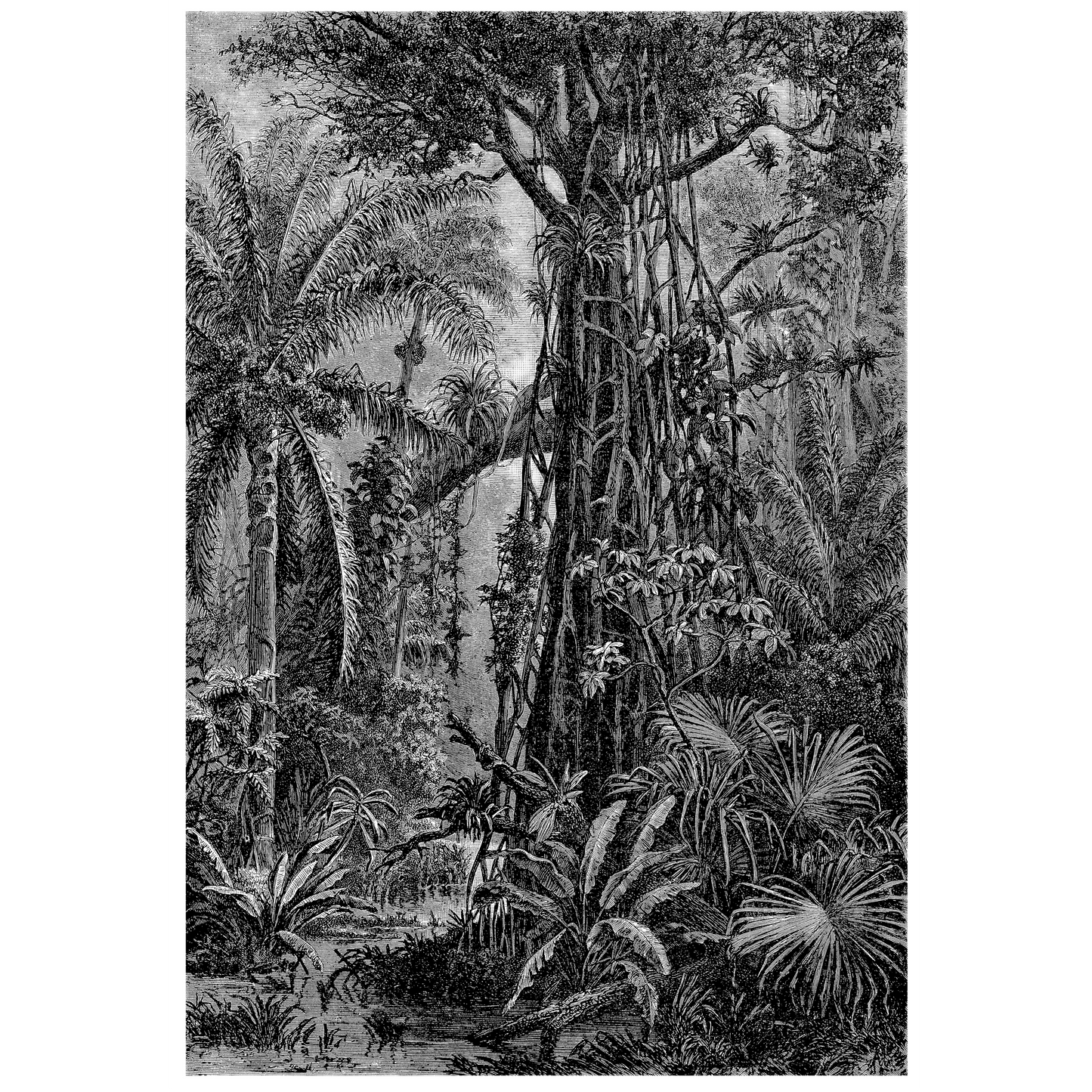 Antique Etching 11