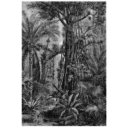 Antique Etching 11