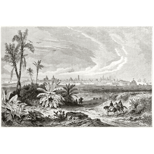 Antique Etching 5