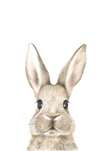 Baby Bunny Art Print - Esque