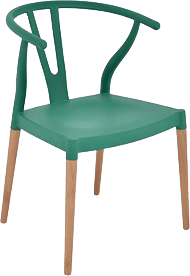 Colourful Wishbone Dining Chair