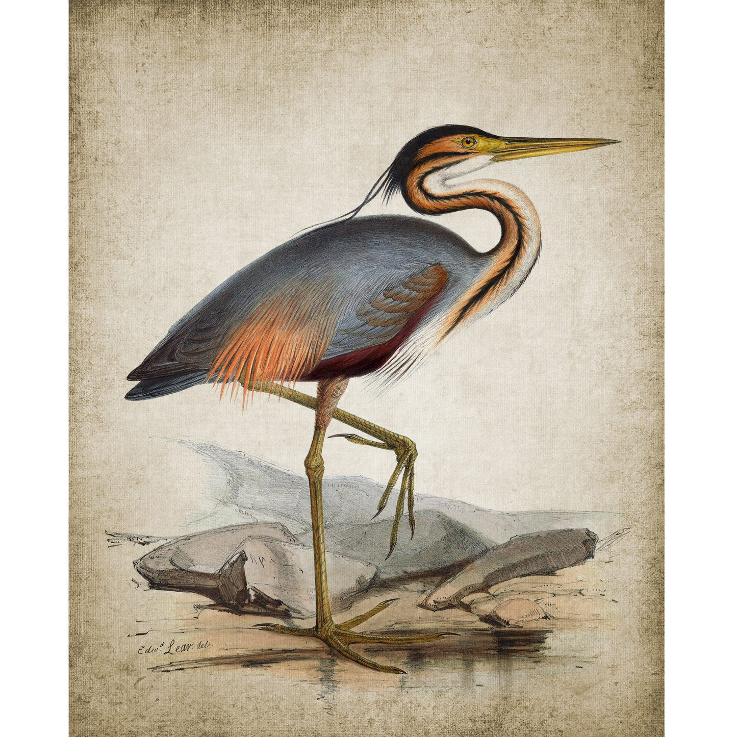 Vintage Heron 2