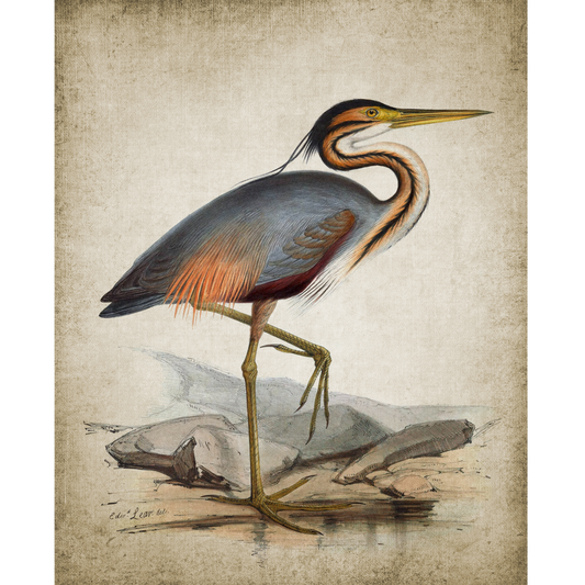 Vintage Heron 2