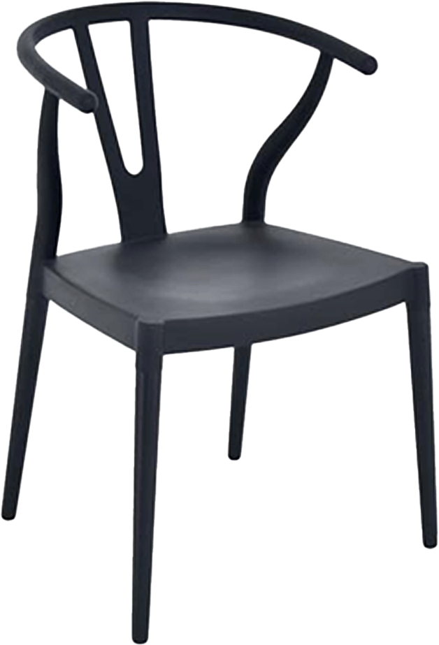 Colourful Wishbone Dining Chair
