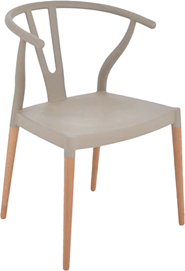 Colourful Wishbone Dining Chair