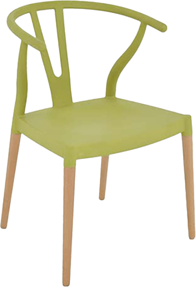 Colourful Wishbone Dining Chair
