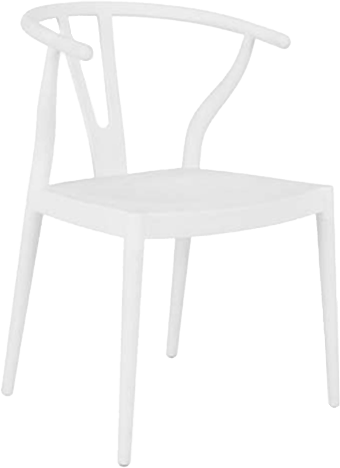 Colourful Wishbone Dining Chair