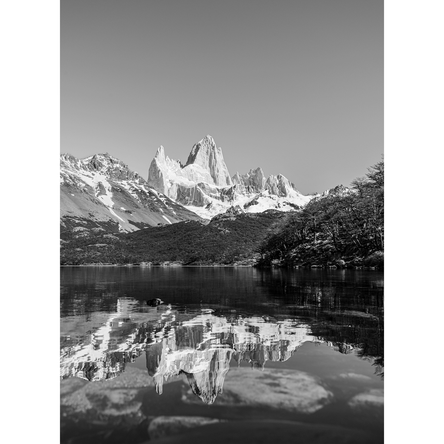 Mirrored Might - Art Piece