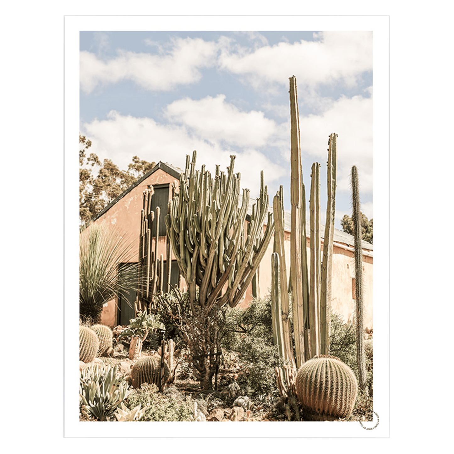 Karoo-Garden, Art Print