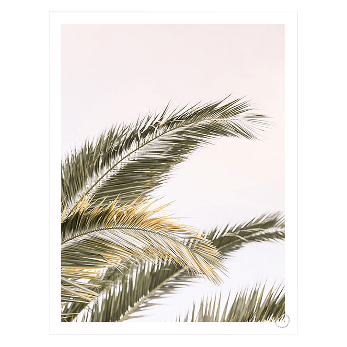 Oasis-Palm, Art Print